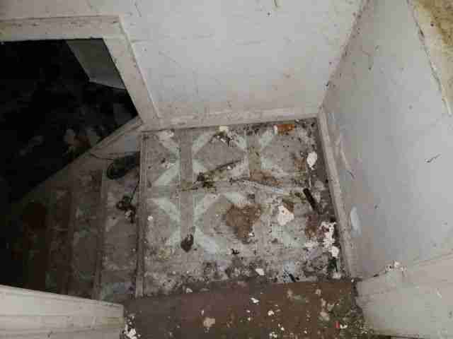 Testing again(36).jpg